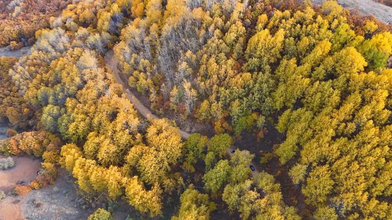 Tunceli’de sonbaharın renkleri dron kamerasında