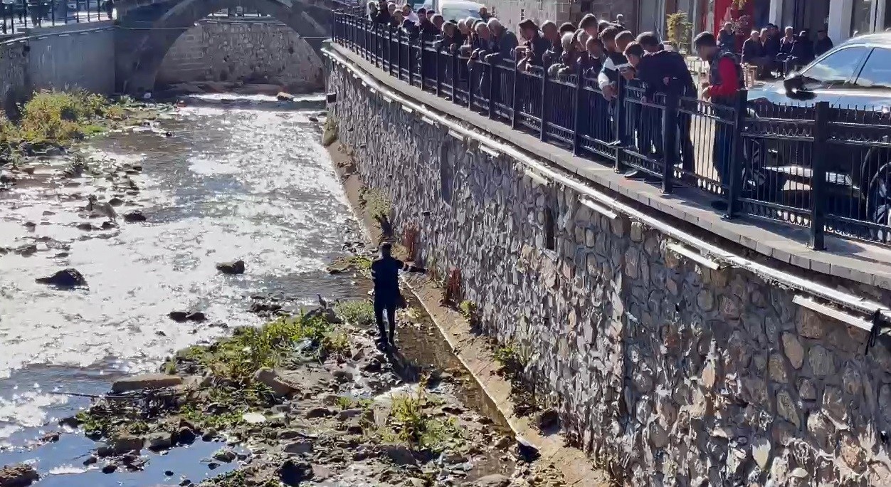 Bitlis’te dereye düşen kekliği vatandaşlar kurtardı