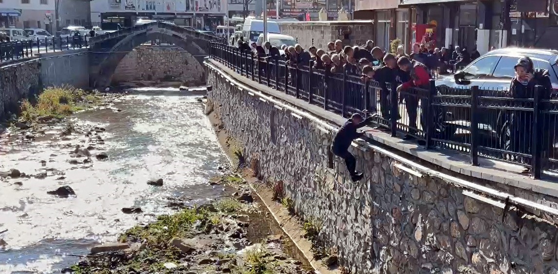 Bitlis’te dereye düşen kekliği vatandaşlar kurtardı