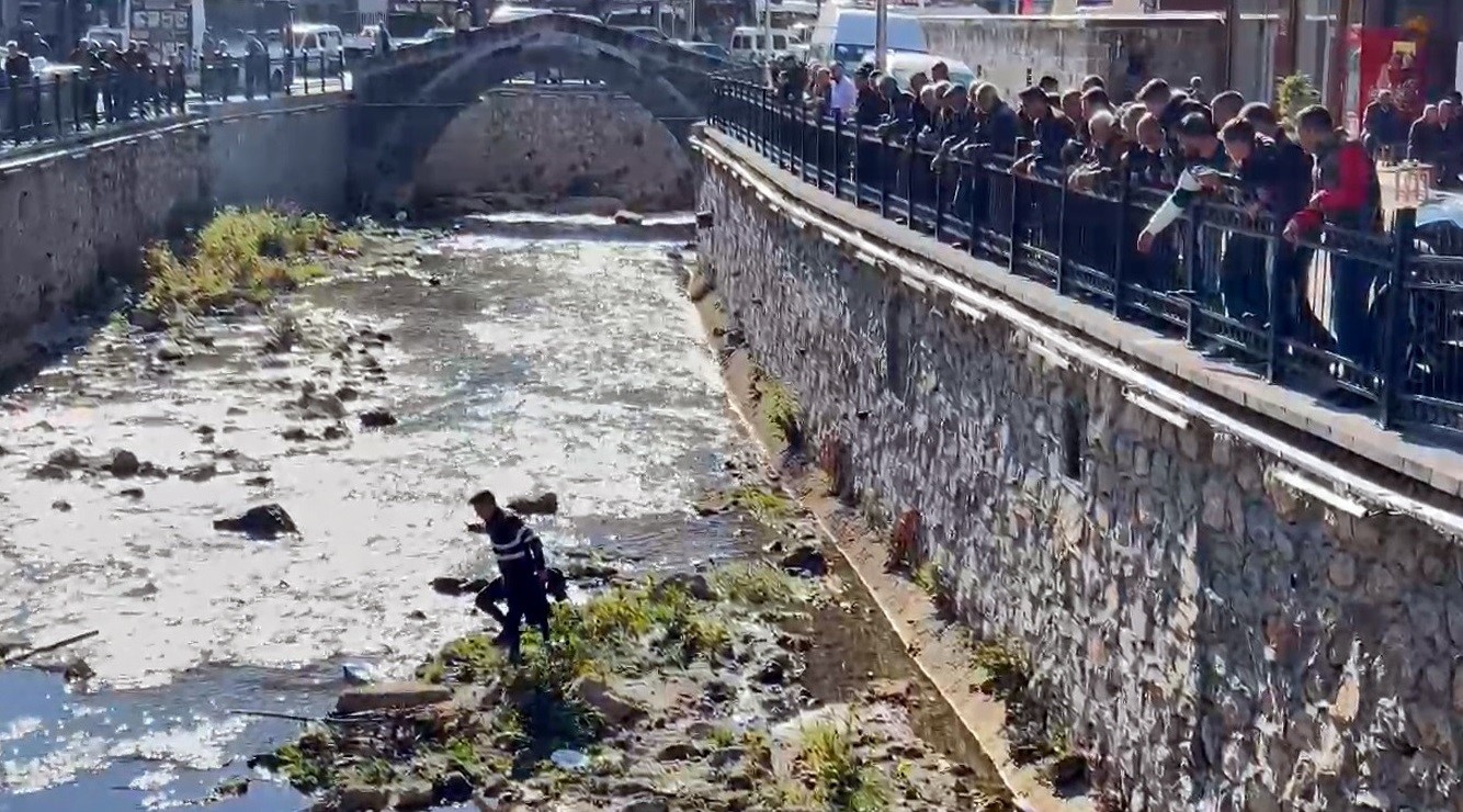 Bitlis’te dereye düşen kekliği vatandaşlar kurtardı