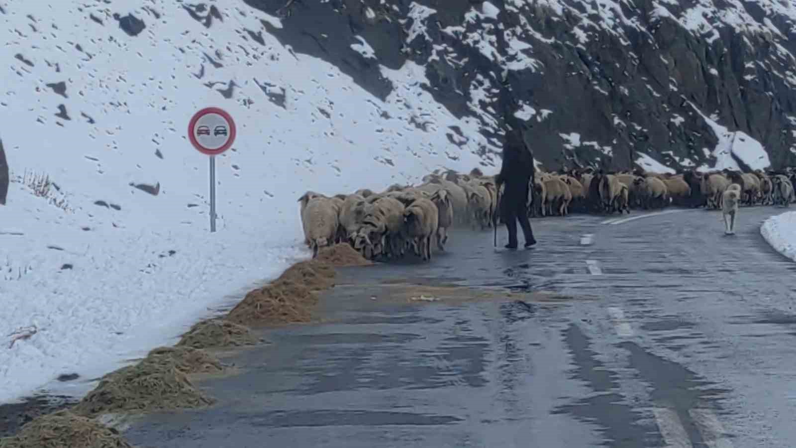 Van’da besicilerin zorlu kış mesaisi başladı