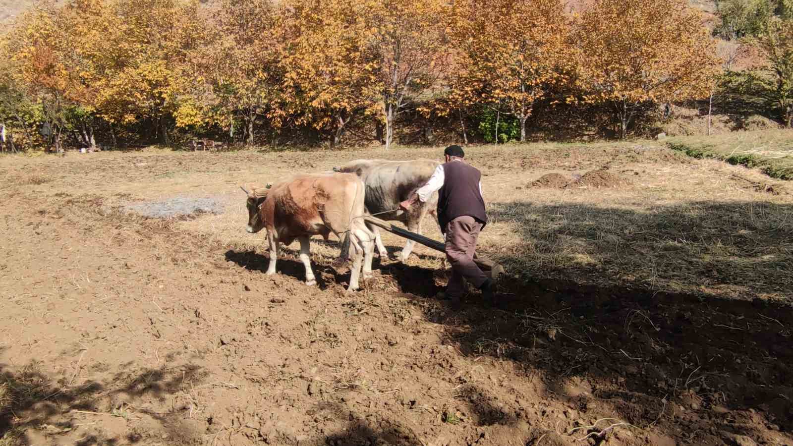 Bu köydeki tarım halen karasabanla yapılıyor