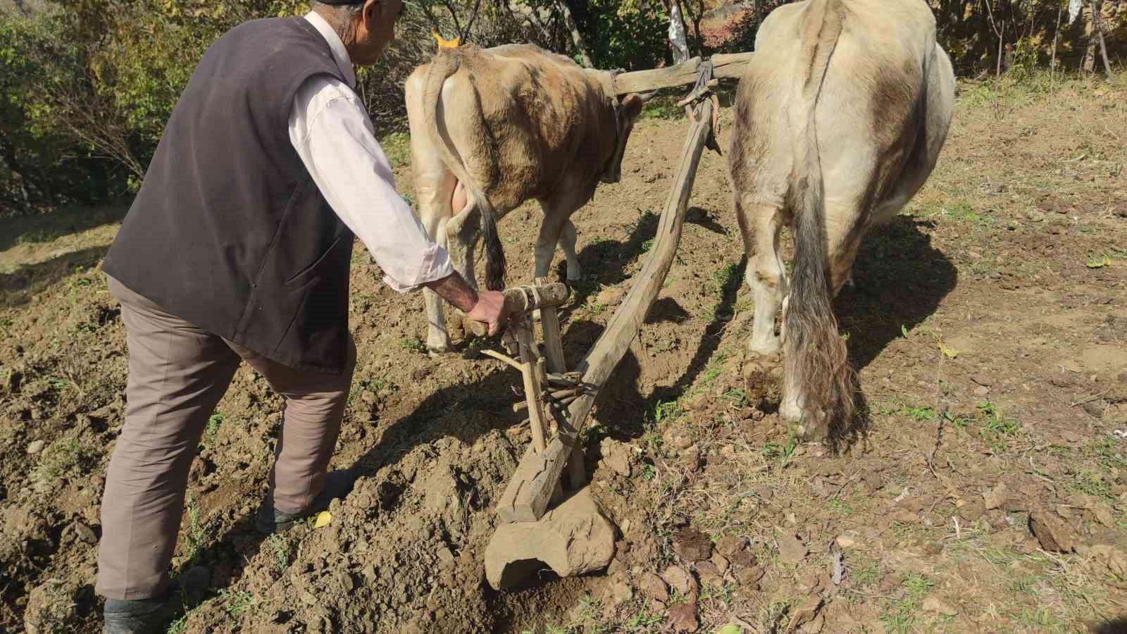 Bu köydeki tarım halen karasabanla yapılıyor