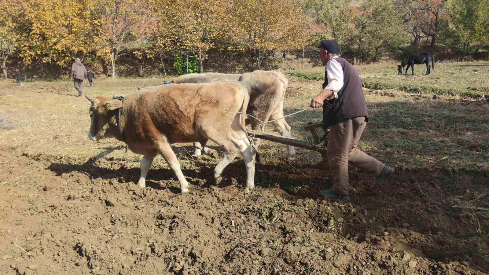 Bu köydeki tarım halen karasabanla yapılıyor