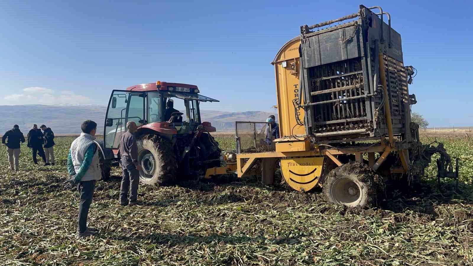 Muradiye’de şeker pancarı hasadı başladı