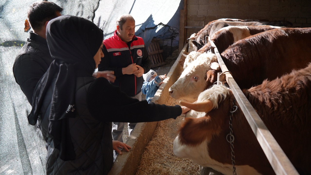 Gıda mühendisi 2 çocuk annesi devletten aldığı destek ile genç yaşta besici oldu