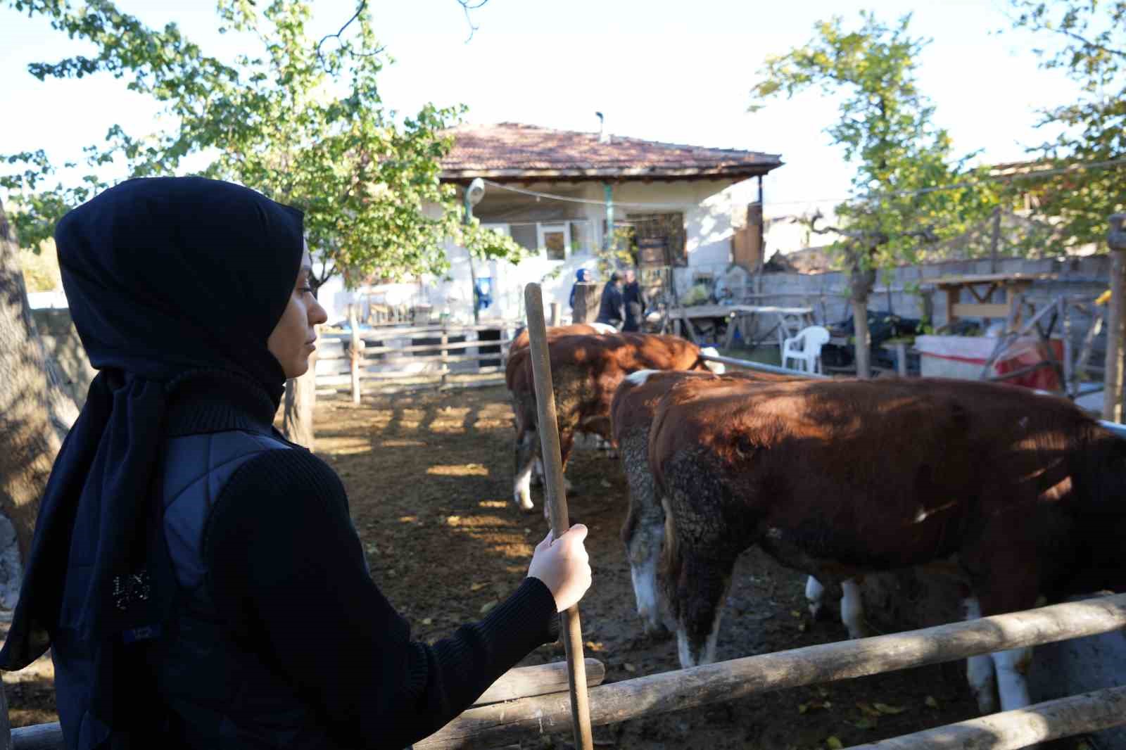 Gıda mühendisi 2 çocuk annesi devletten aldığı destek ile genç yaşta besici oldu