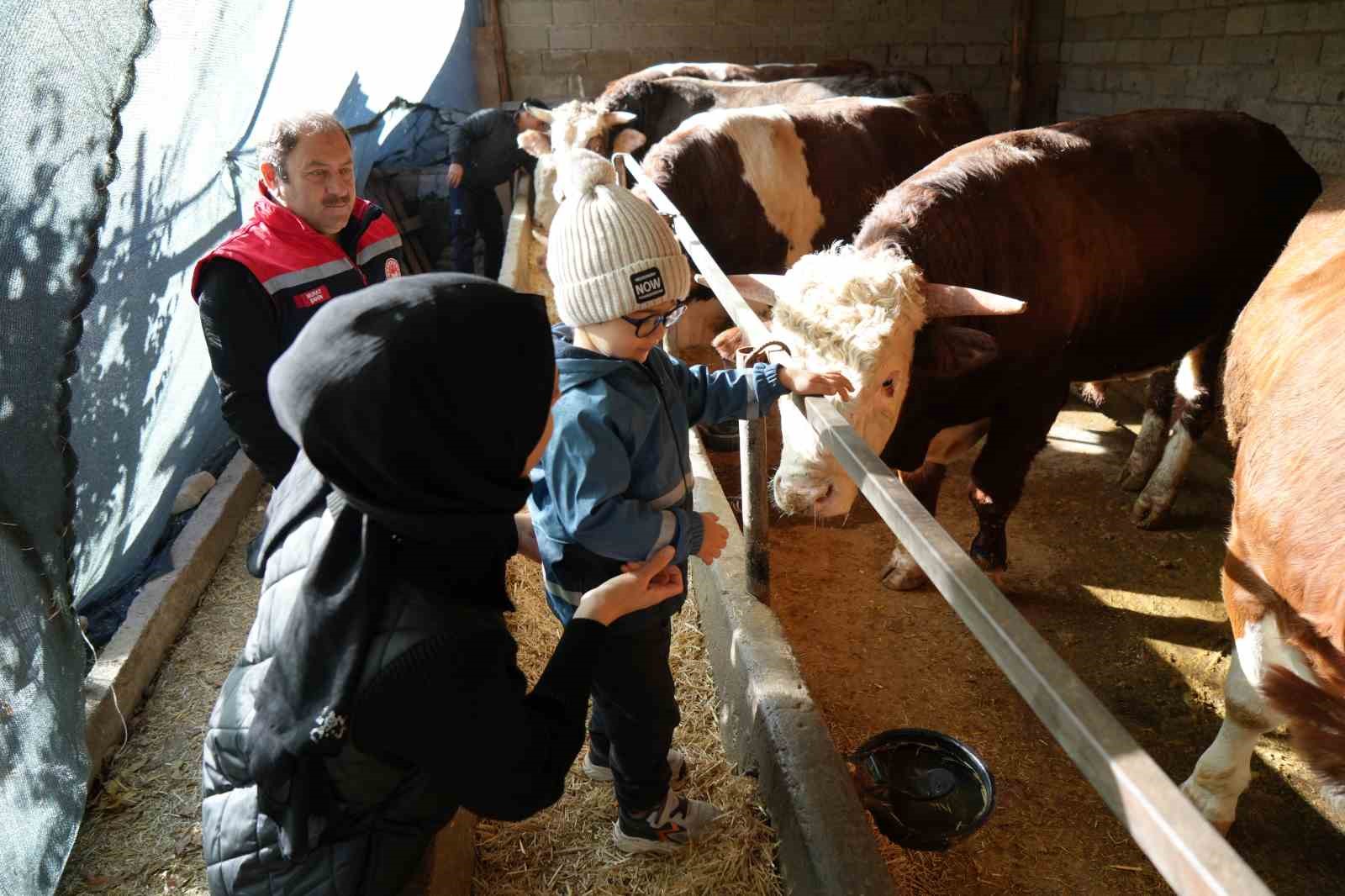 Gıda mühendisi 2 çocuk annesi devletten aldığı destek ile genç yaşta besici oldu