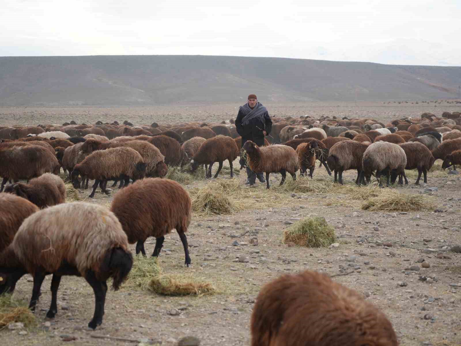 8 aydır memleketten ayrı olan sürüler Iğdır’a geri döndü