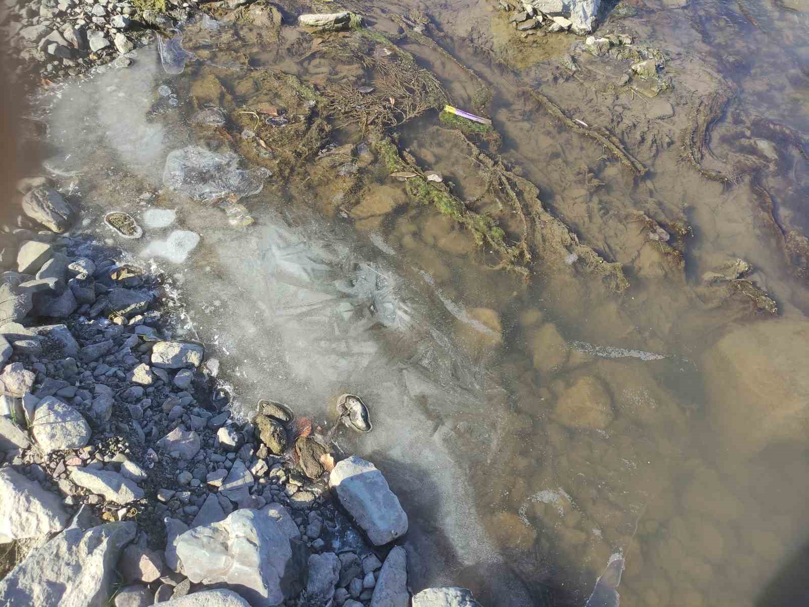 Ardahan’da Kura Nehri buz tuttu