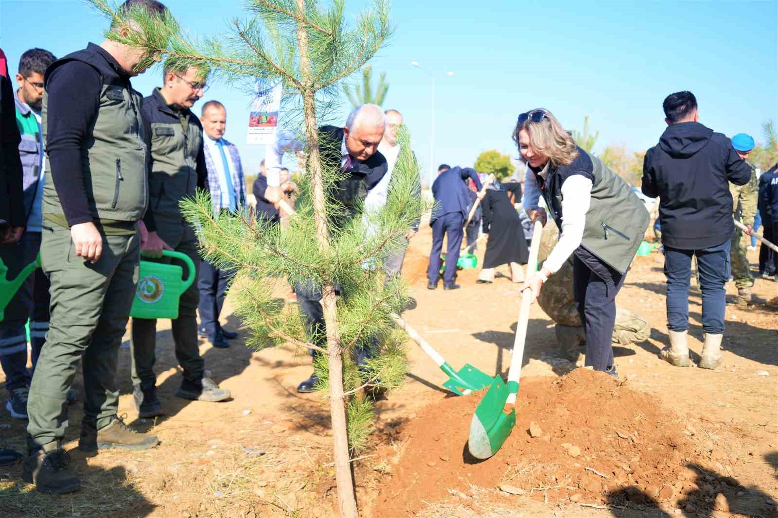 Muş’ta 11 bin fidan toprakla buluşturuldu