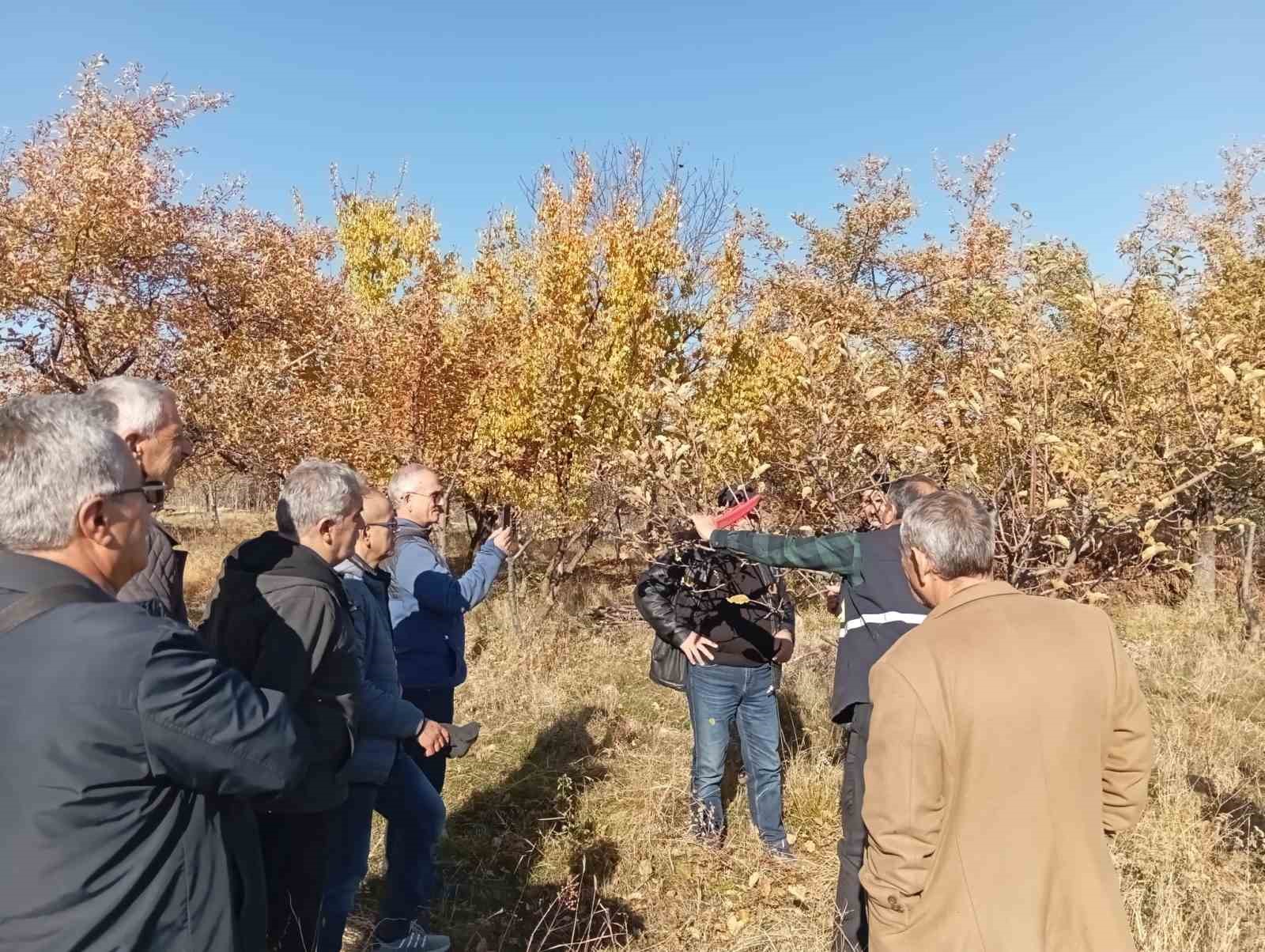 Erzincan’da teorik ve pratik budama eğitimleri başlatıldı