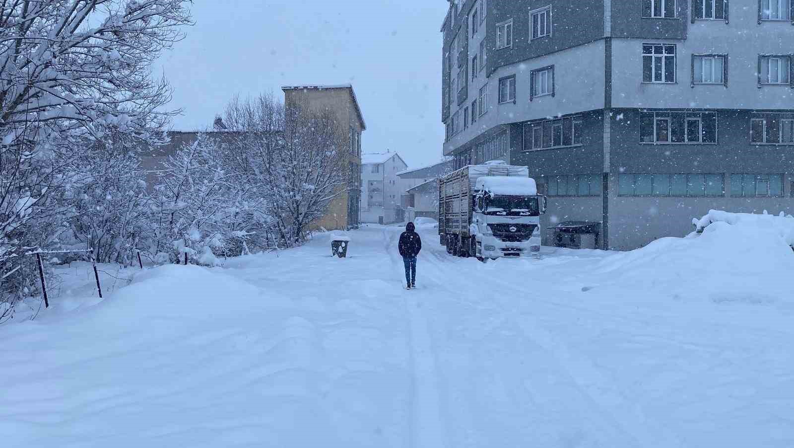 Kar, bir ilçenin tüm köy yollarını ulaşıma kapattı