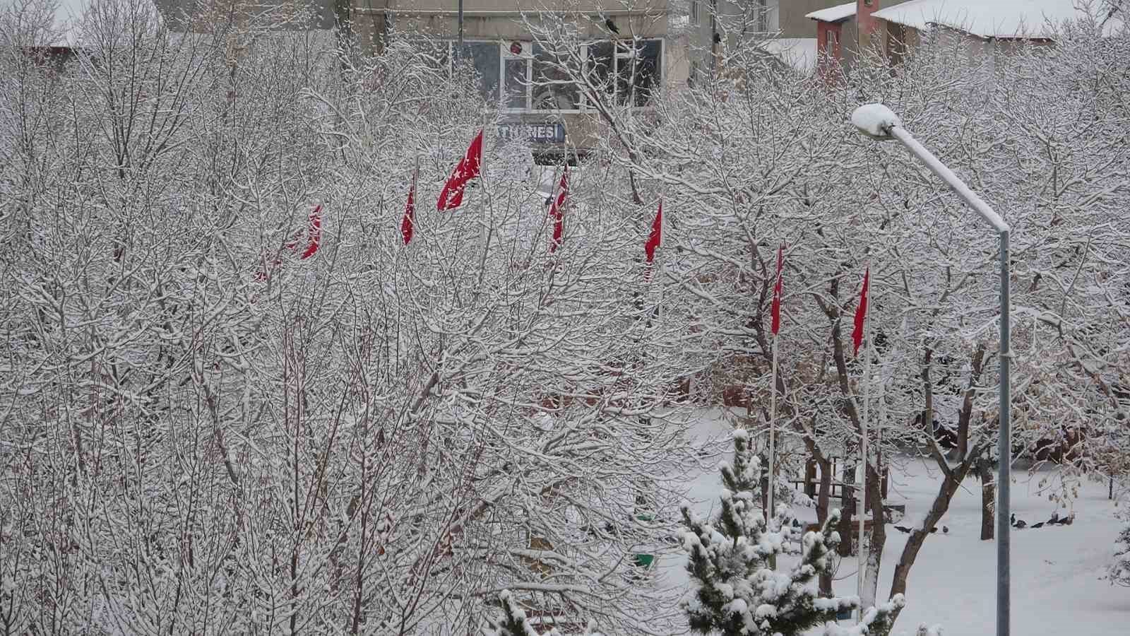 Kırağı tutan ağaçlar kartpostallık görüntüler oluşturdu