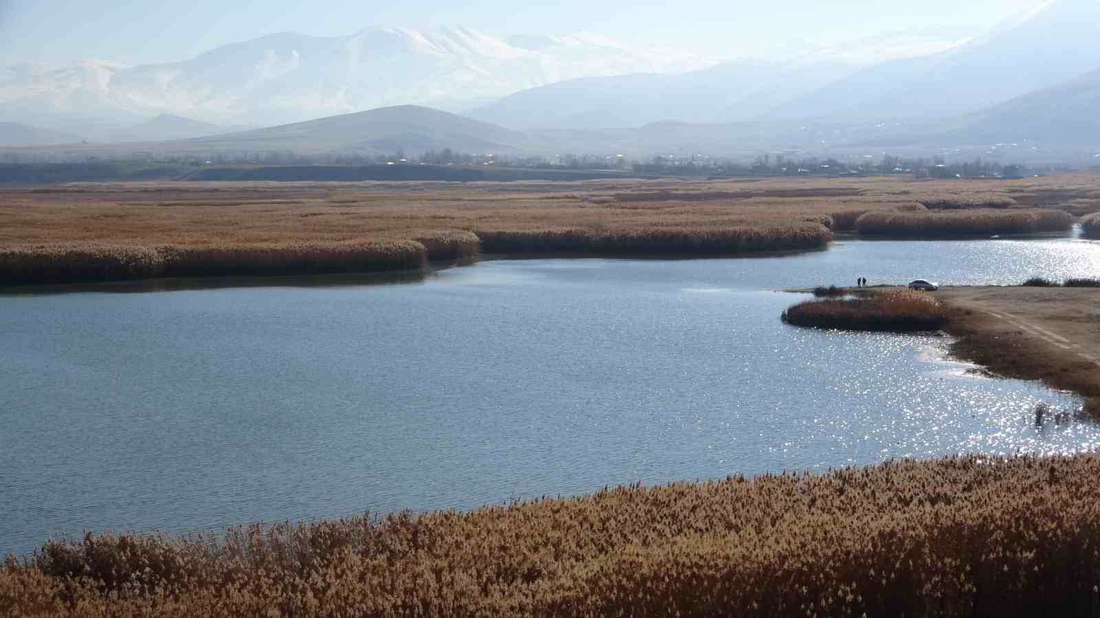 Doğal akışı değiştirilen ‘Dilkaya Deltası’ yok oluyor