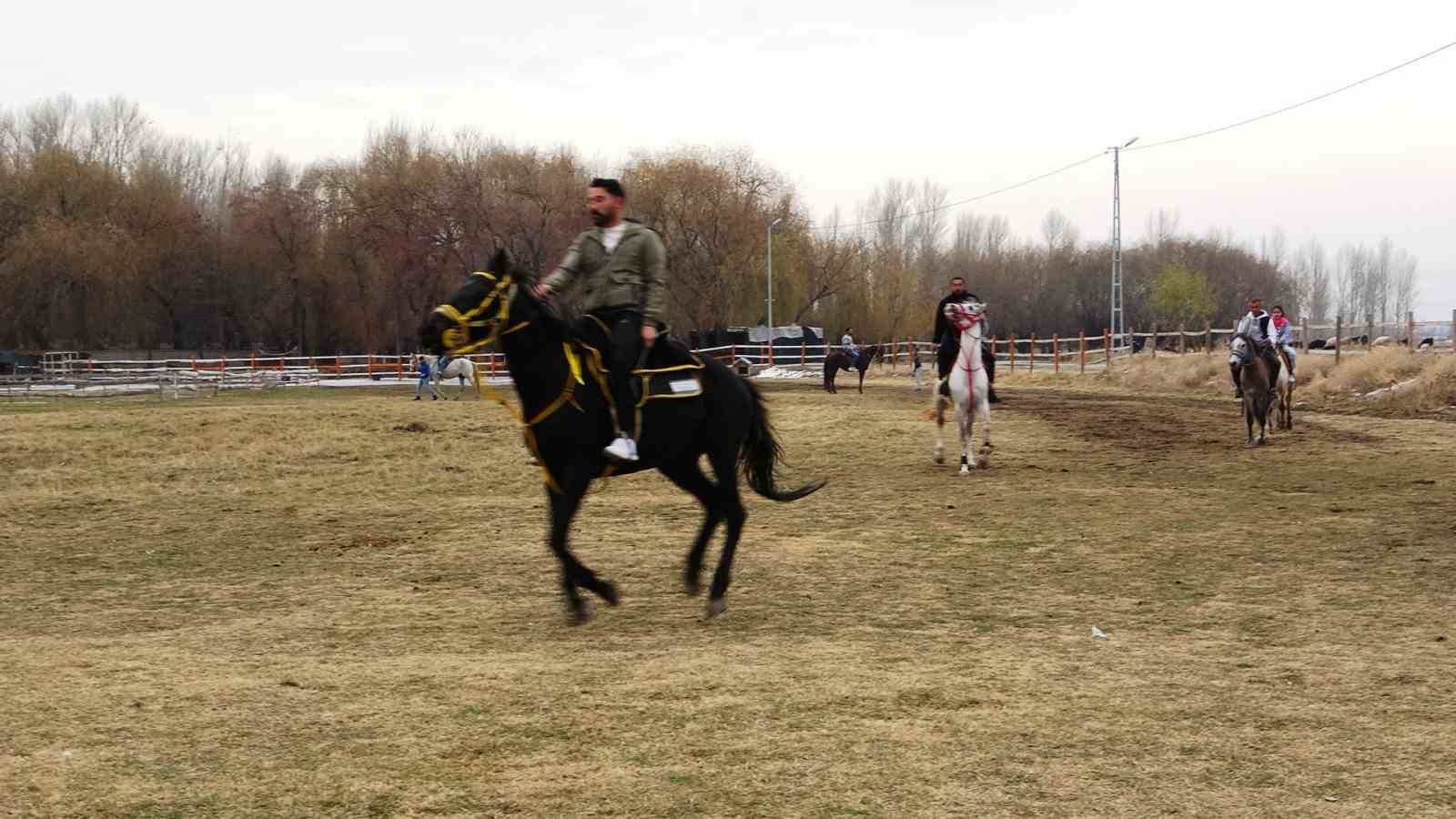 At çiftliğine ilgi büyük