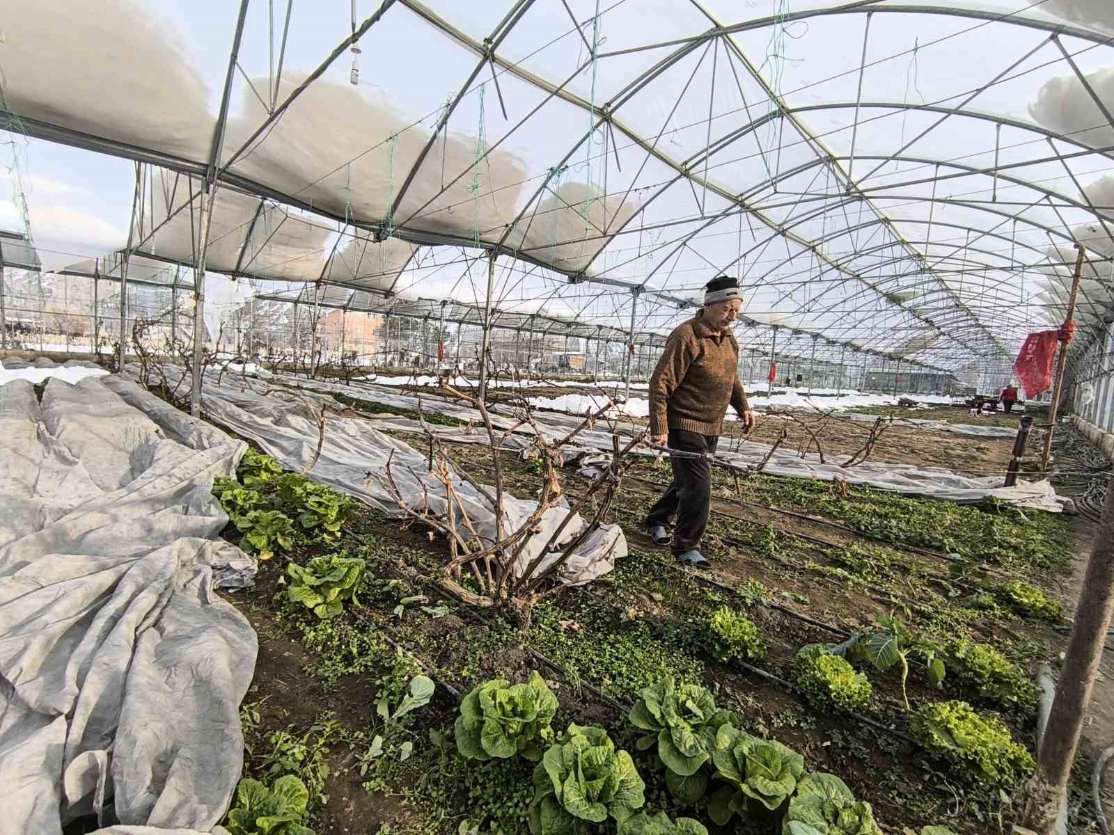 Uzundere’de kar yağışı seralara zarar verdi