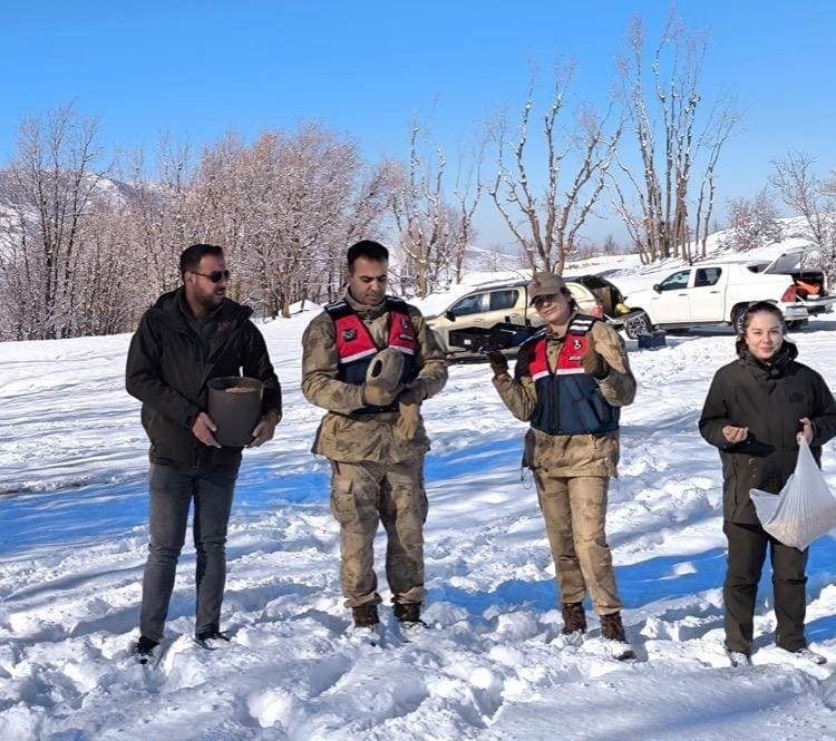 Bitlis’te yaban hayvanları için doğaya yem bırakıldı