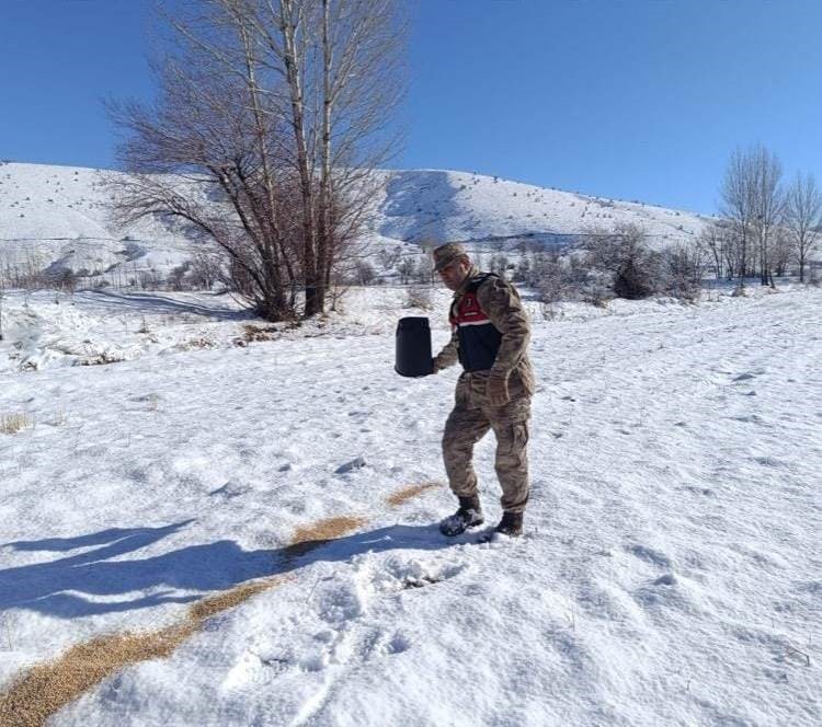 Bitlis’te yaban hayvanları için doğaya yem bırakıldı