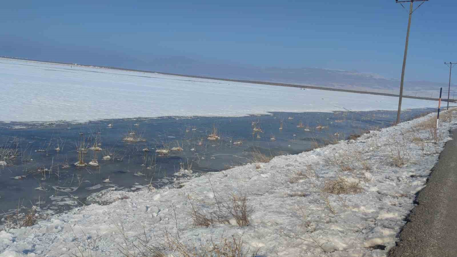 Van’da dereler dondu, ağaçlar kırağı tuttu