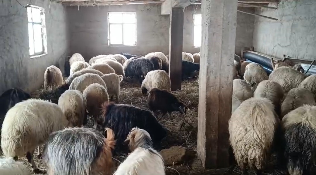 Van’da 420 yerleşim yerinin yolu ulaşıma kapandı