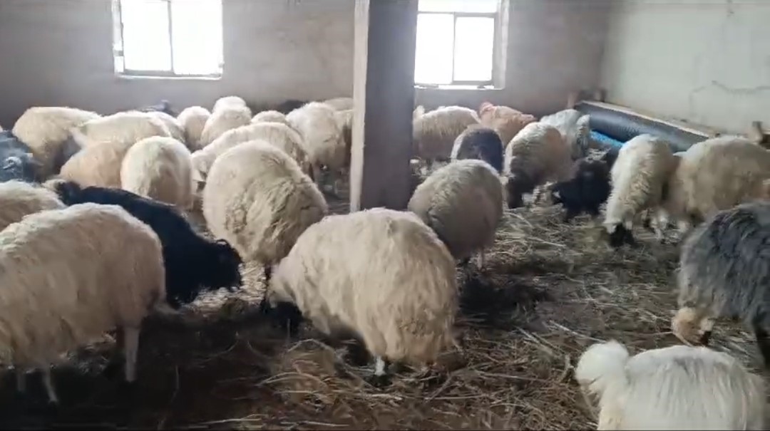 Van’da 420 yerleşim yerinin yolu ulaşıma kapandı