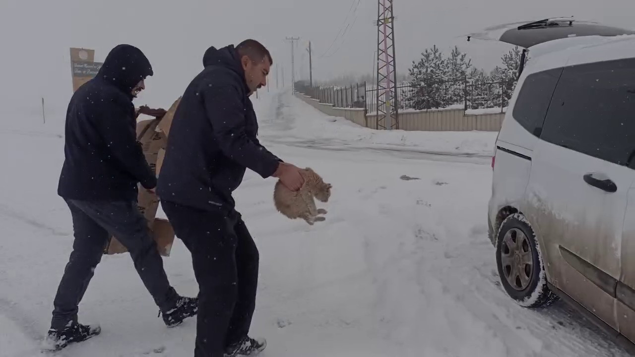 Erzurum polisinden yürekleri ısıtan hareketler