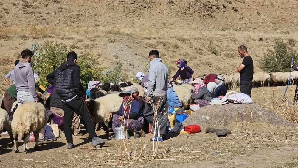 Yüksekova’da 62 köyde aşı ve kimliklendirme çalışması yapıldı