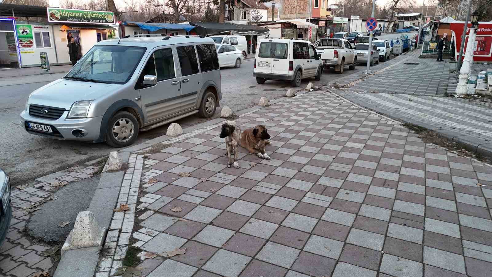 Soğuk havalarda vatandaşlara ’sokaktaki canları unutmayın’ çağrısı