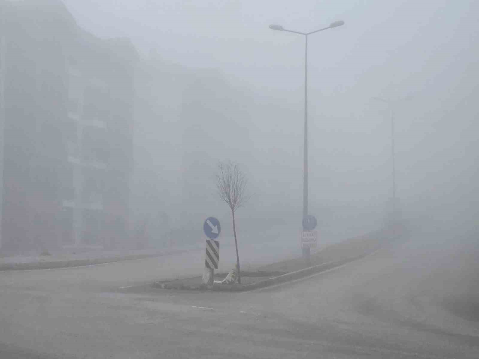 Elazığ’da yoğun sis etkili oldu, bir mahalle adeta kayboldu