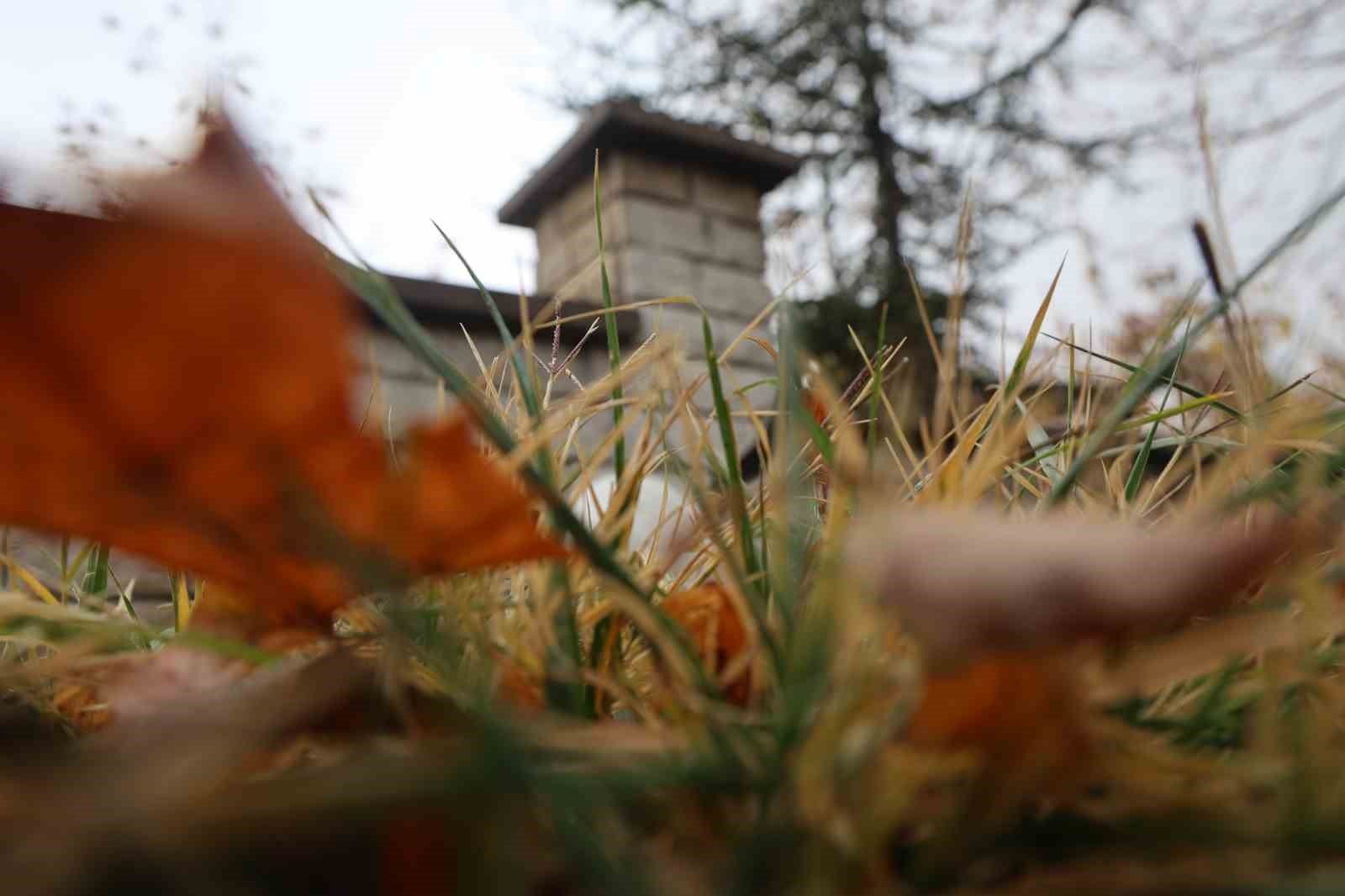 Medeniyetler beşiği Harput’ta ’kedili’ manzaralar