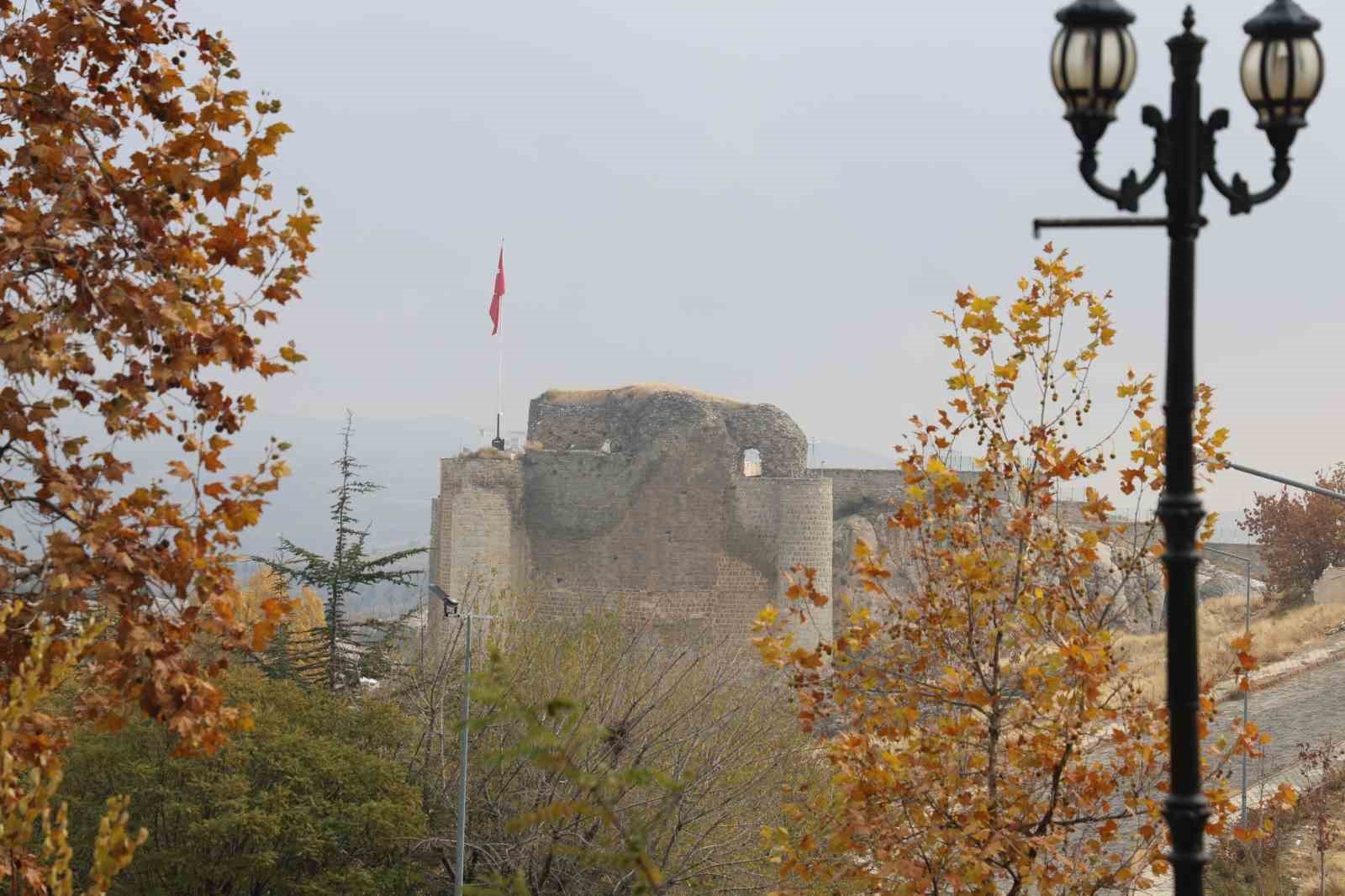 Medeniyetler beşiği Harput’ta ’kedili’ manzaralar