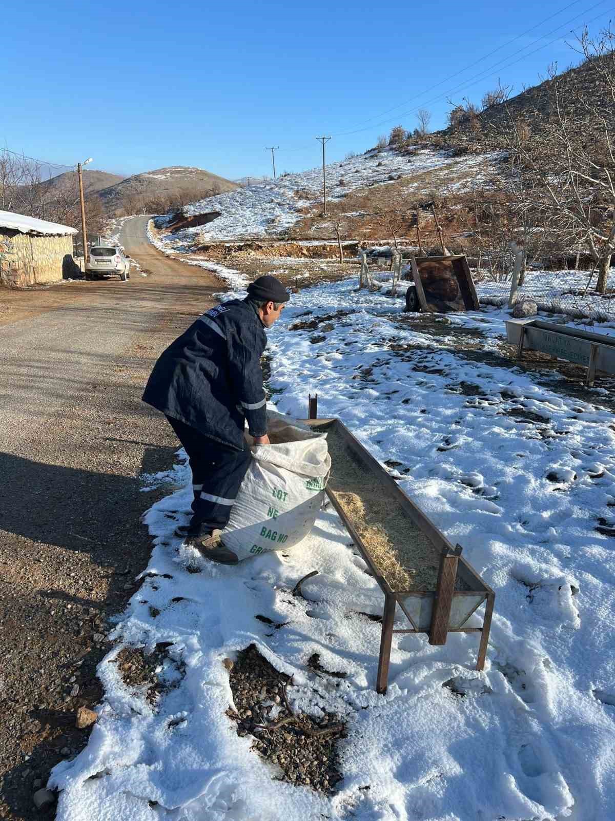 Küçükbaş hayvan yetiştiricilerin zorlu kış mesaisi