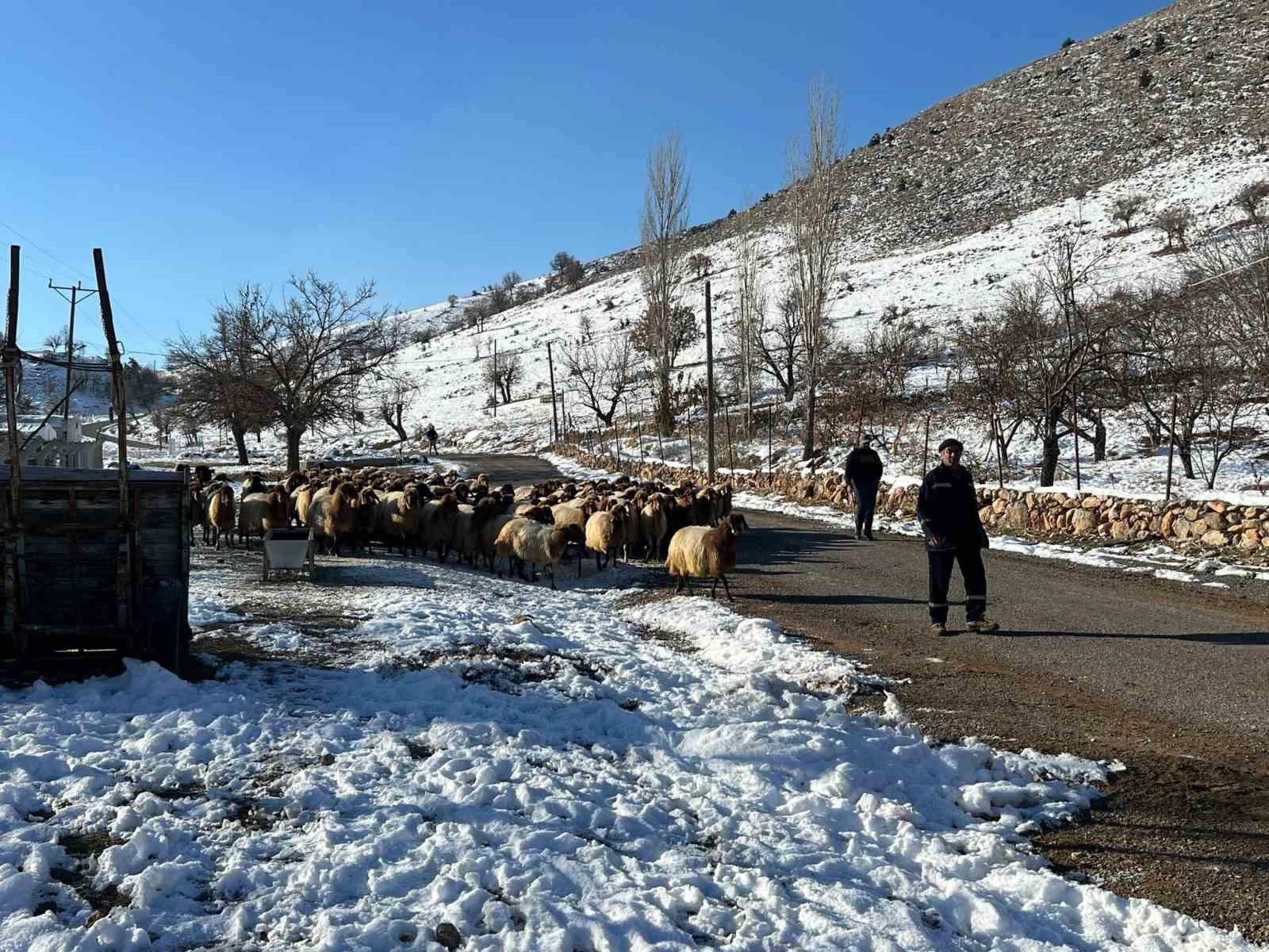 Küçükbaş hayvan yetiştiricilerin zorlu kış mesaisi