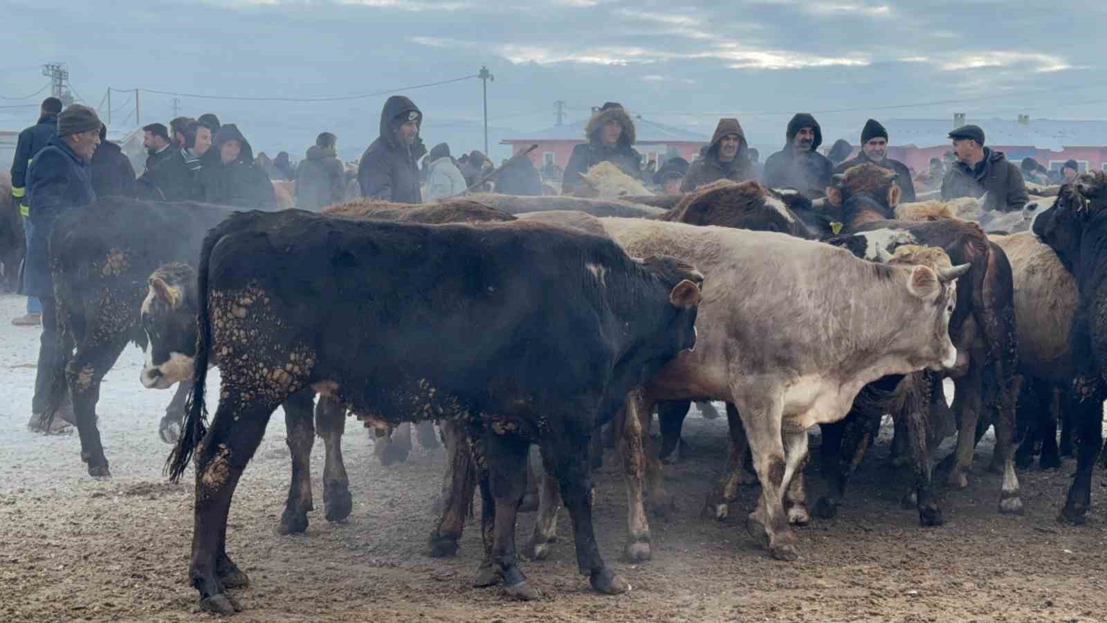 Ağrı Hayvan Pazarı’nda dondurucu soğuk çileye dönüştü