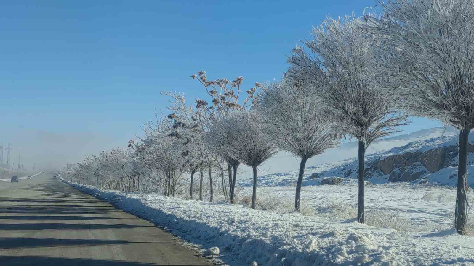 Van’da sis ulaşımı olumsuz etkiledi