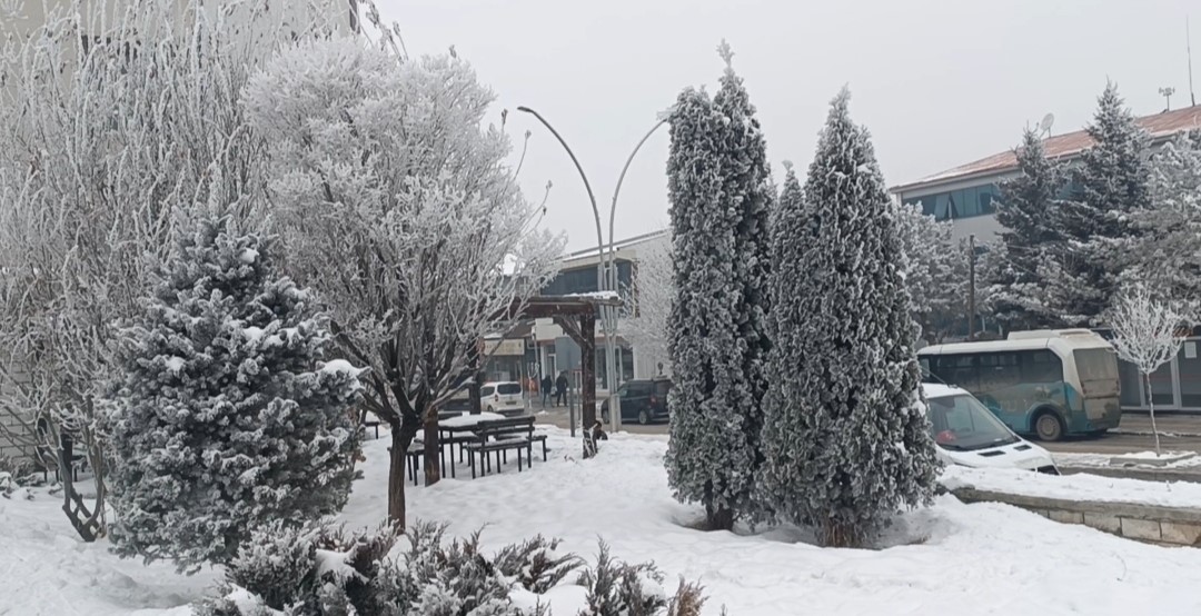 Özalp dondu, ağaçlar kırağı tuttu