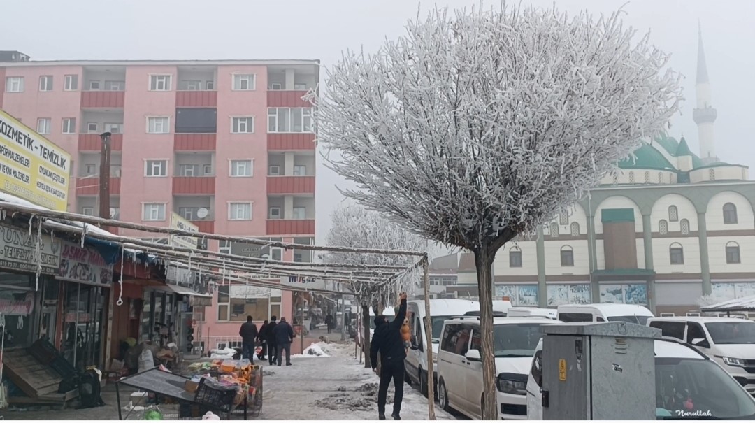 Özalp dondu, ağaçlar kırağı tuttu