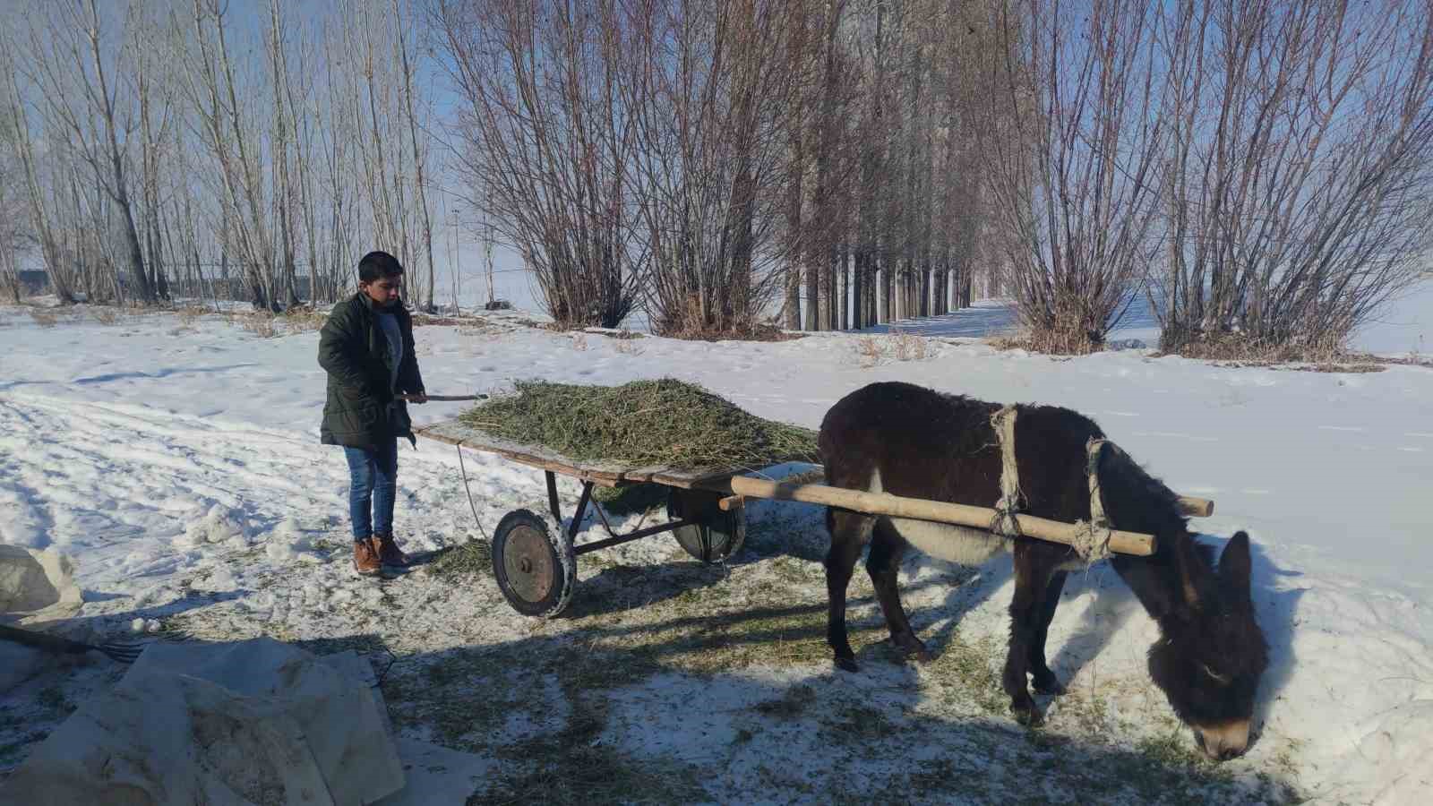 Van’da besicilerin kış mesaisi sürüyor