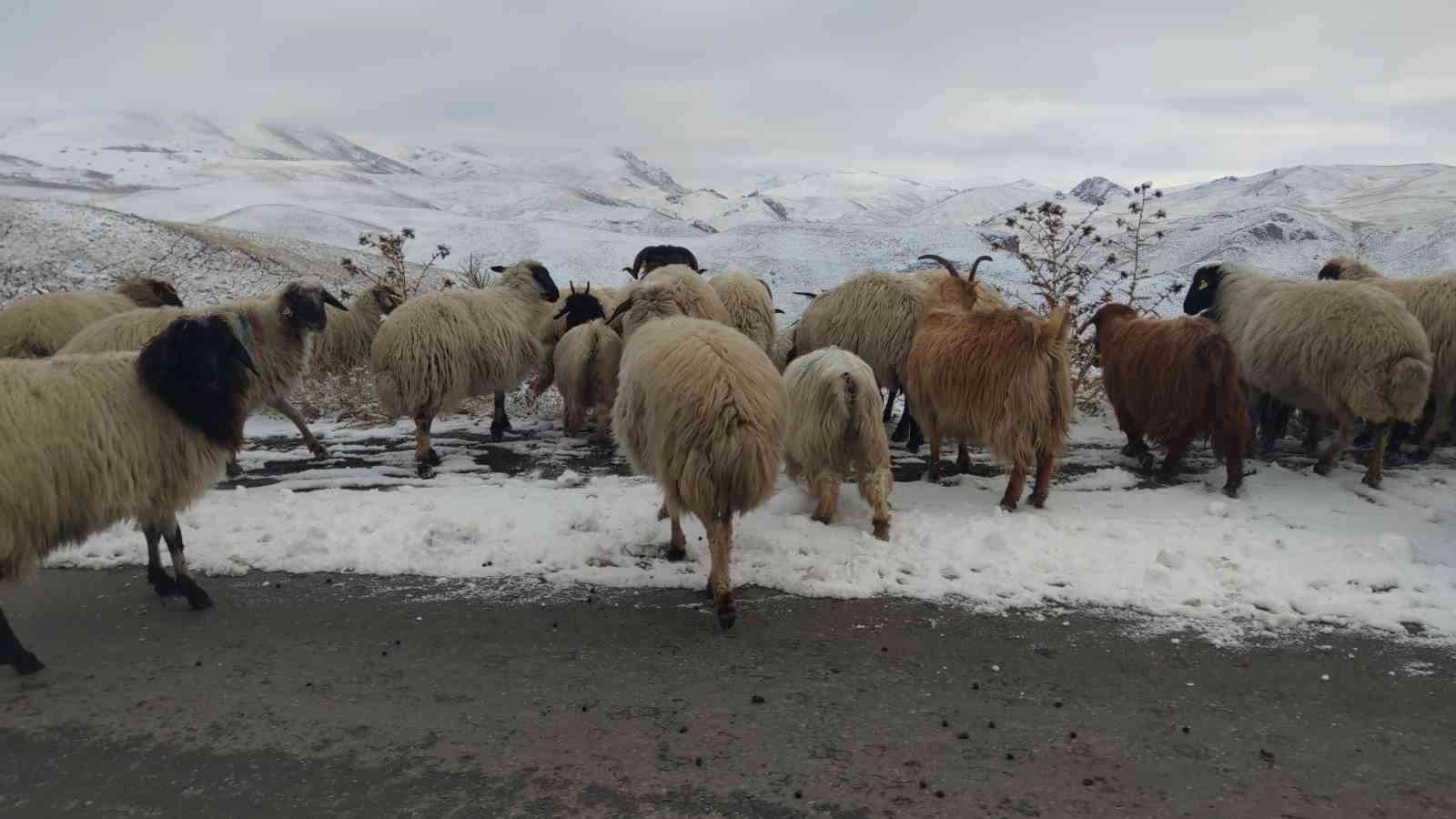 Van’da besicilerin kış mesaisi sürüyor