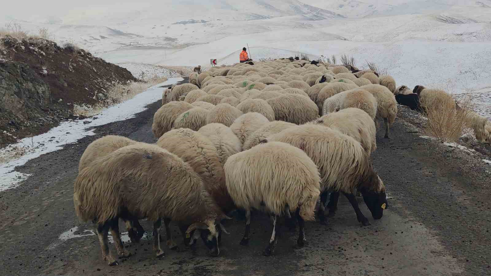 Van’da besicilerin kış mesaisi sürüyor