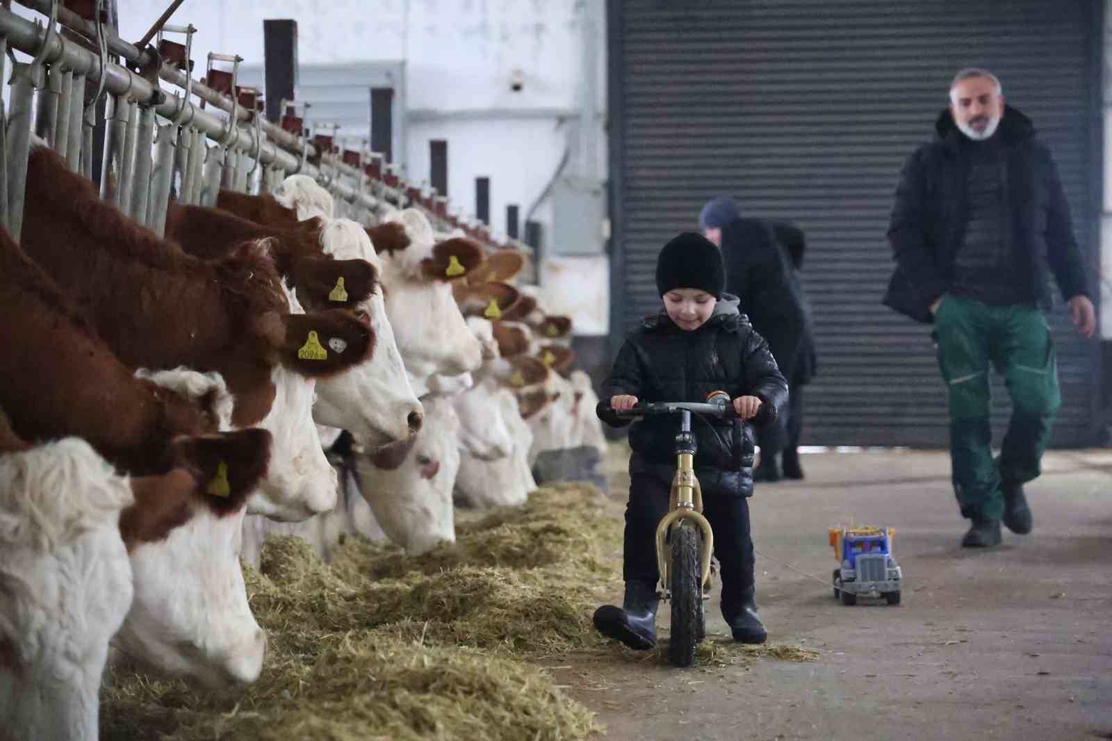 TKDK’dan aldığı destekle ülkesine dönüp çiftlik kurdu, 432 ton süt üretiyor