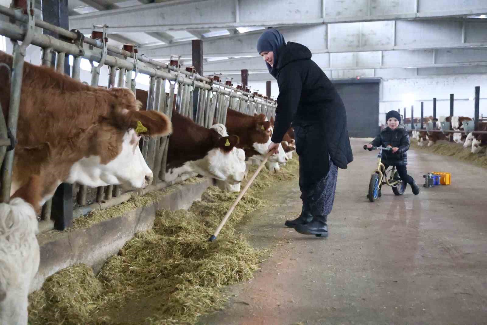 TKDK’dan aldığı destekle ülkesine dönüp çiftlik kurdu, 432 ton süt üretiyor