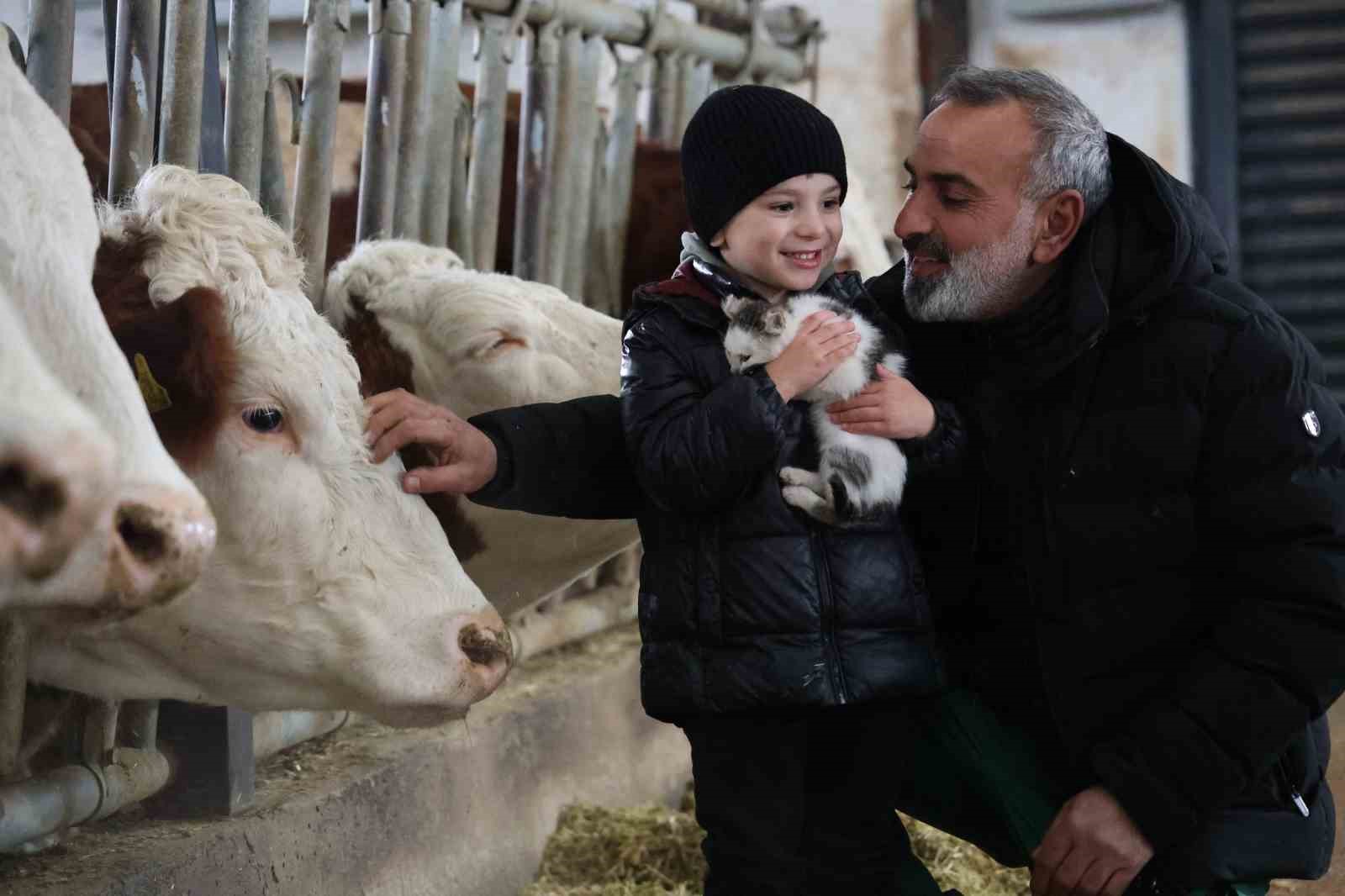 TKDK’dan aldığı destekle ülkesine dönüp çiftlik kurdu, 432 ton süt üretiyor