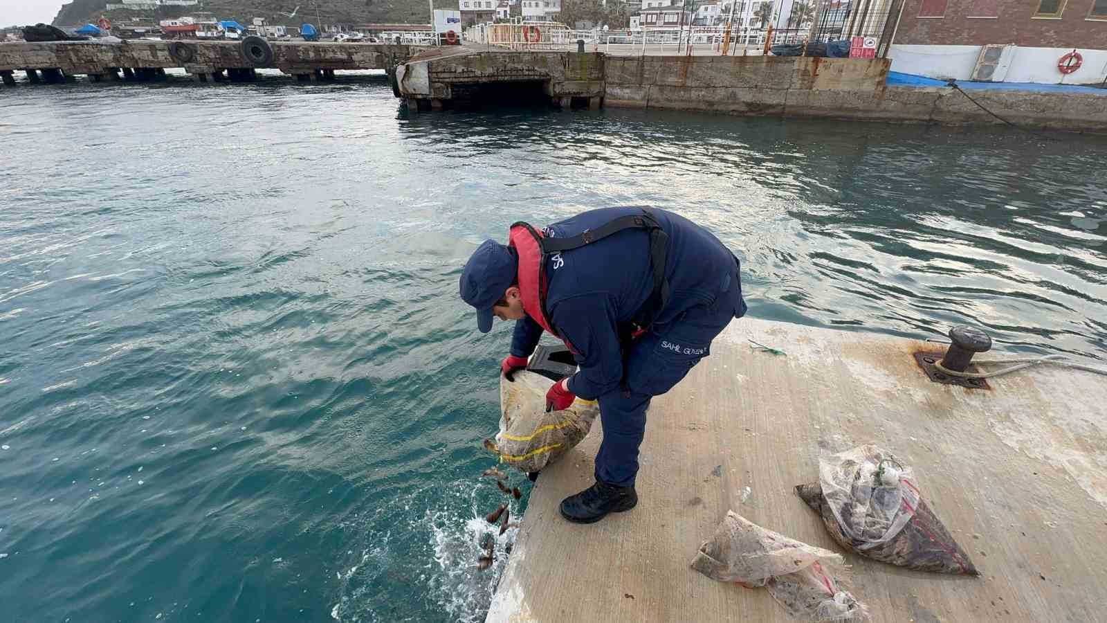 Sahil Güvenlik Bozcaada açıklarında 19 çuval deniz patlıcanı ele geçirdi