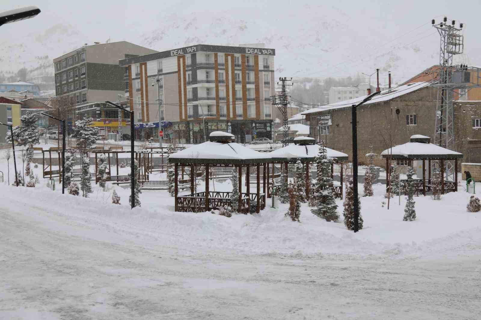 Başkale’de yoğun kar yağışı: 46 yerleşim yerinin yolu ulaşıma kapandı