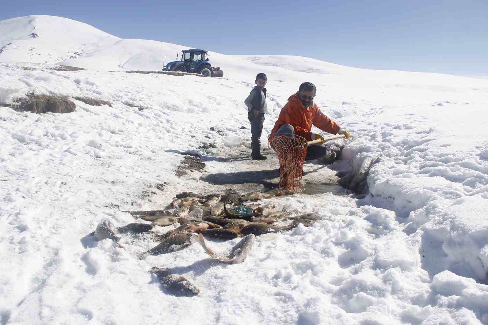 Buz tutan gölette ‘Eskimo’ usulü balık avı