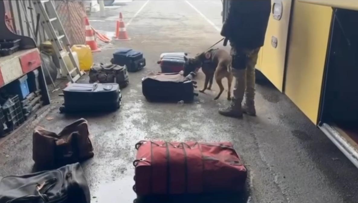 Narkotik Köpekleri Su ve Magnum yine affetmedi