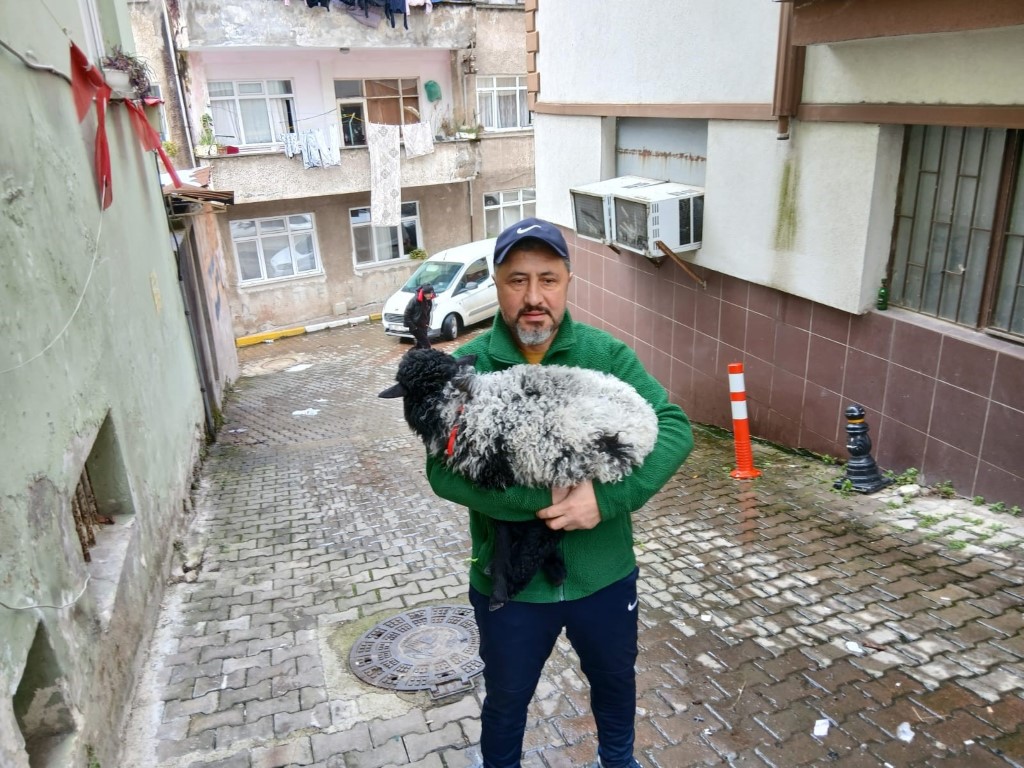 Sahiplendiği kuzuyla şehrin fenomeni oldu