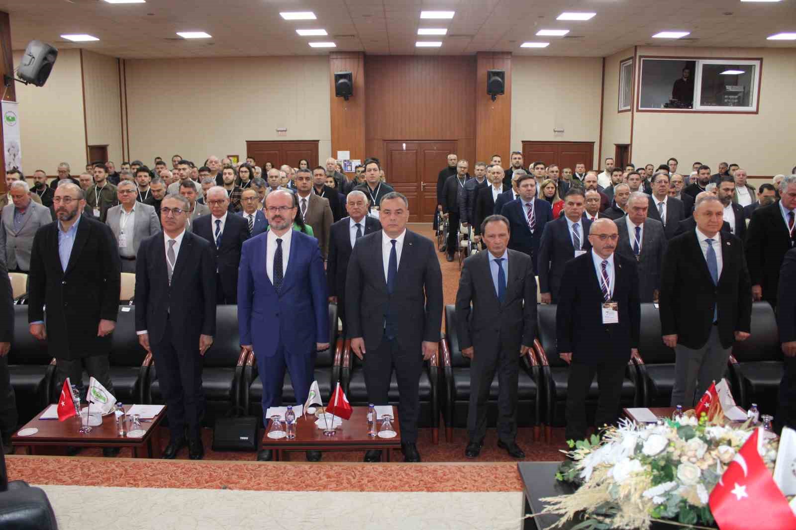 Bu yıl pamuk toprağa ekilmeden desteklemeler açıklandı